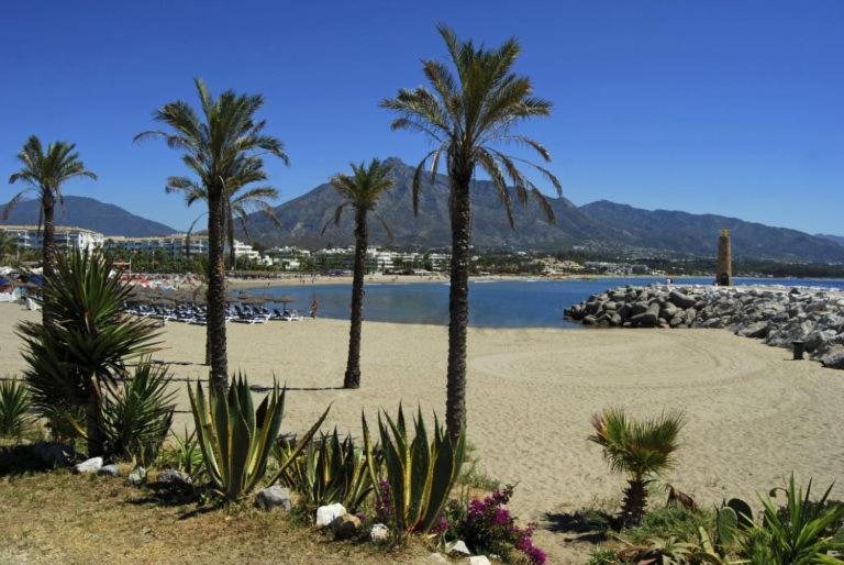 Renovado Apartamento 1 Dormitorio,Centro Marbella. Marbelsun Exteriör bild